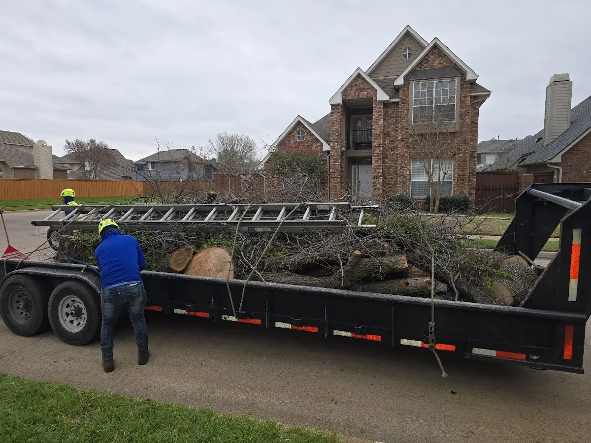 Expert Tree Removal with proper safety equipment in Lexington